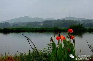 安吉天子湖吃瓜,安吉夏日吃瓜盛宴