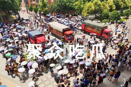 吃瓜聚众,揭秘网络聚众现象背后的文化现象